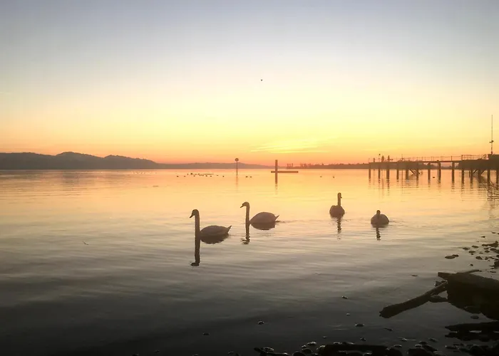 Insel-ambiente - Hochwertig Und Grosszuegig Auf Der Insel Apartment *